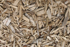 biomass boilers Rhydygele
